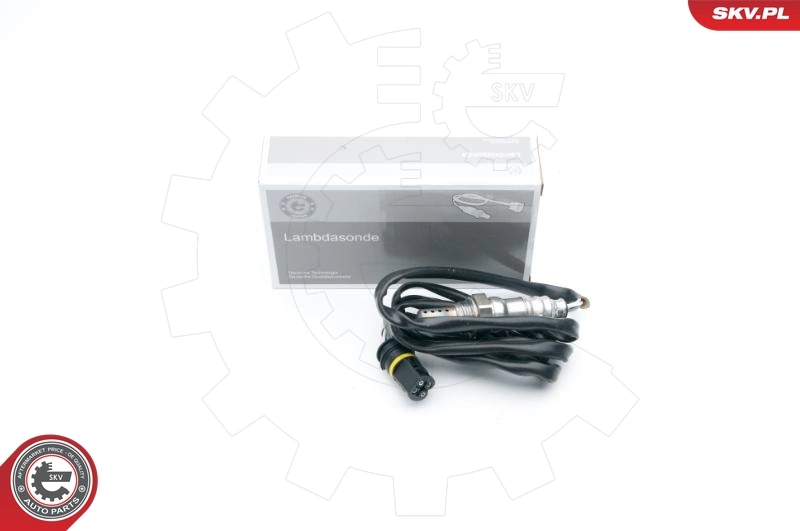 Oxygen Sensor
